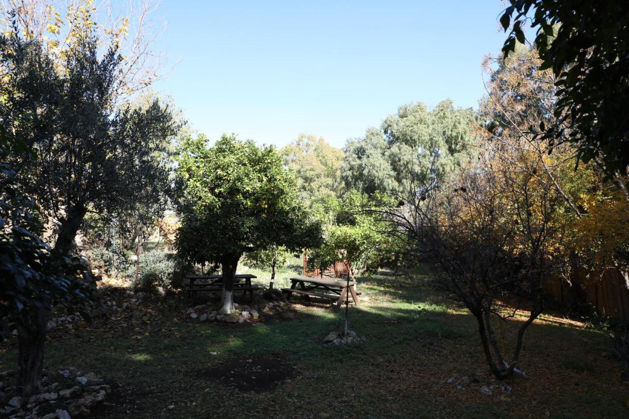 Shulamit Yard Ξενοδοχείο Rosh Pinna Εξωτερικό φωτογραφία