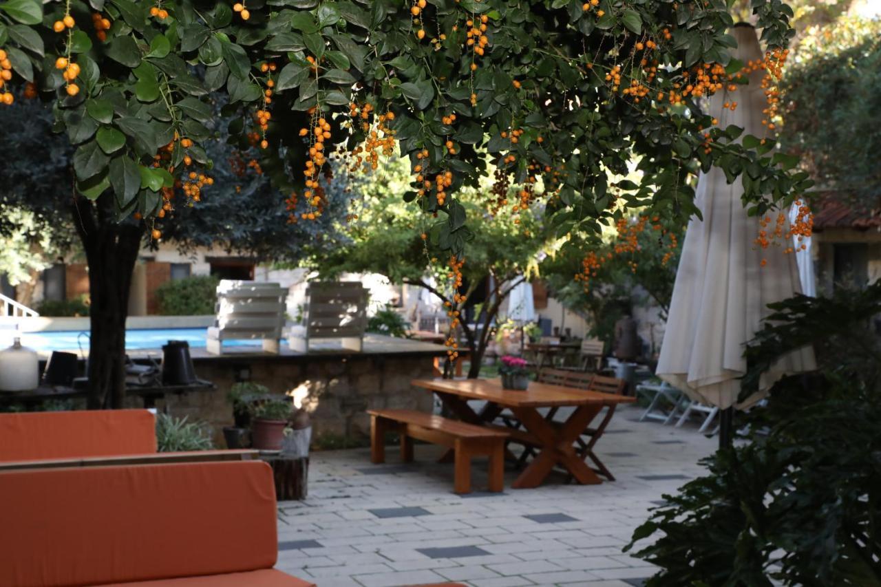 Shulamit Yard Ξενοδοχείο Rosh Pinna Εξωτερικό φωτογραφία